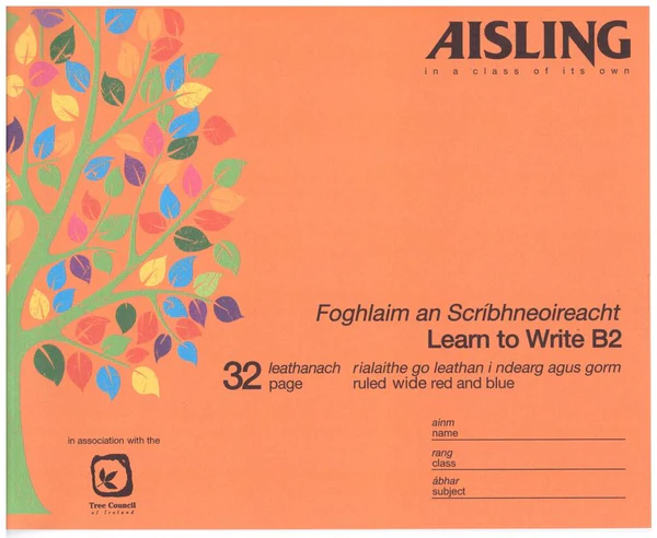 Aisling Learn To Write B2 32Pg Single
